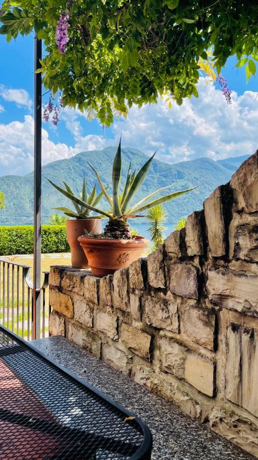 Lake View, Swimming Pool, Tennis Court And Private Parking Mezzegra Exteriér fotografie